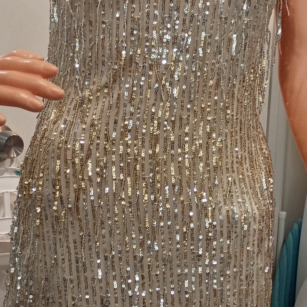 Fashion Nova Silver and Gold Sequin Dress